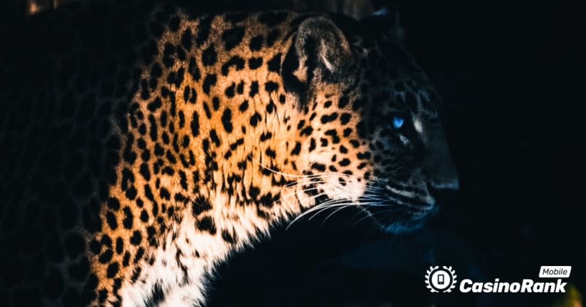 Yggdrasil Partners ReelPlay освобождает Jaguar SuperWays от Bad Dingo